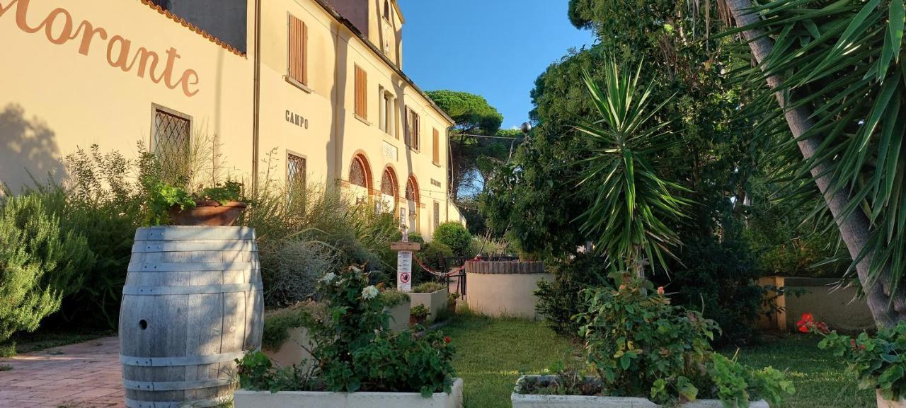 Locanda Menabuoi Donoratico Buitenkant foto